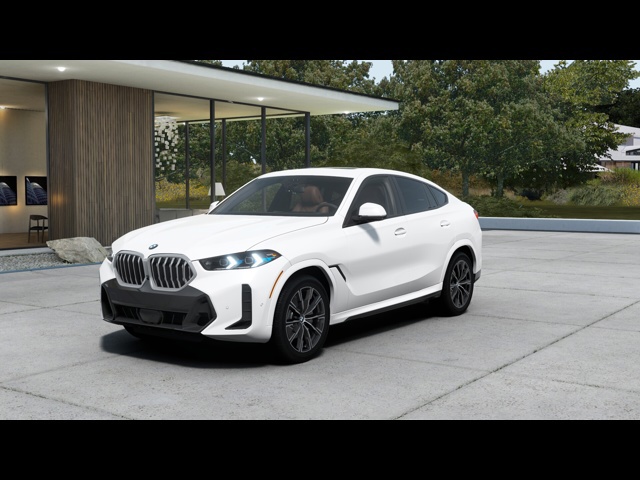 2025 BMW X6