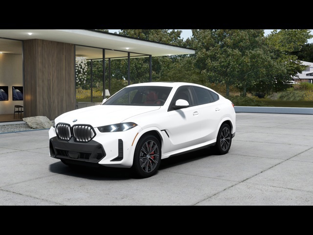 2025 BMW X6